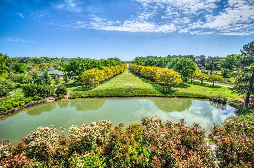 Norfolk-Botanical-Garden-1024x678-1